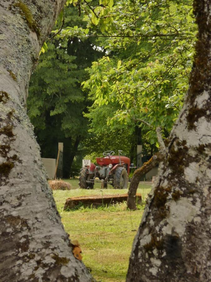 Domaine Du Venet Villa Montcony Exteriör bild
